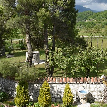 B&B Nel Verde Montesano sulla Marcellana Zewnętrze zdjęcie
