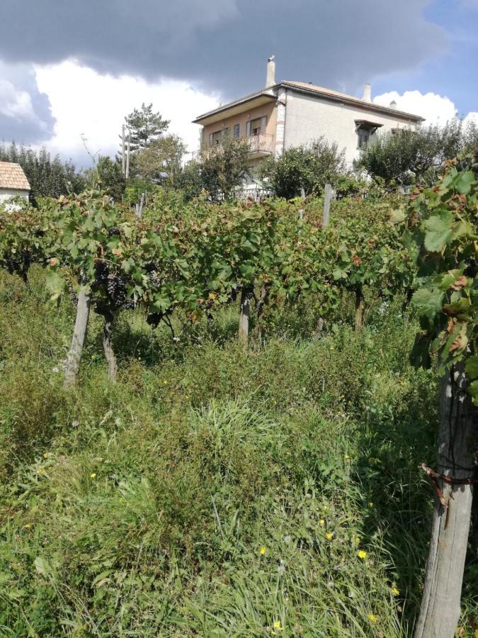 B&B Nel Verde Montesano sulla Marcellana Zewnętrze zdjęcie