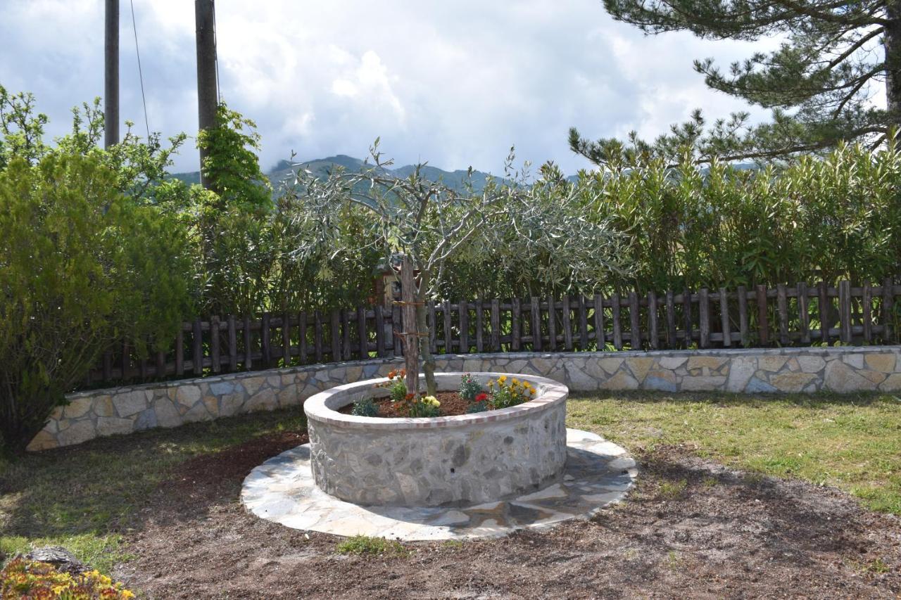 B&B Nel Verde Montesano sulla Marcellana Zewnętrze zdjęcie