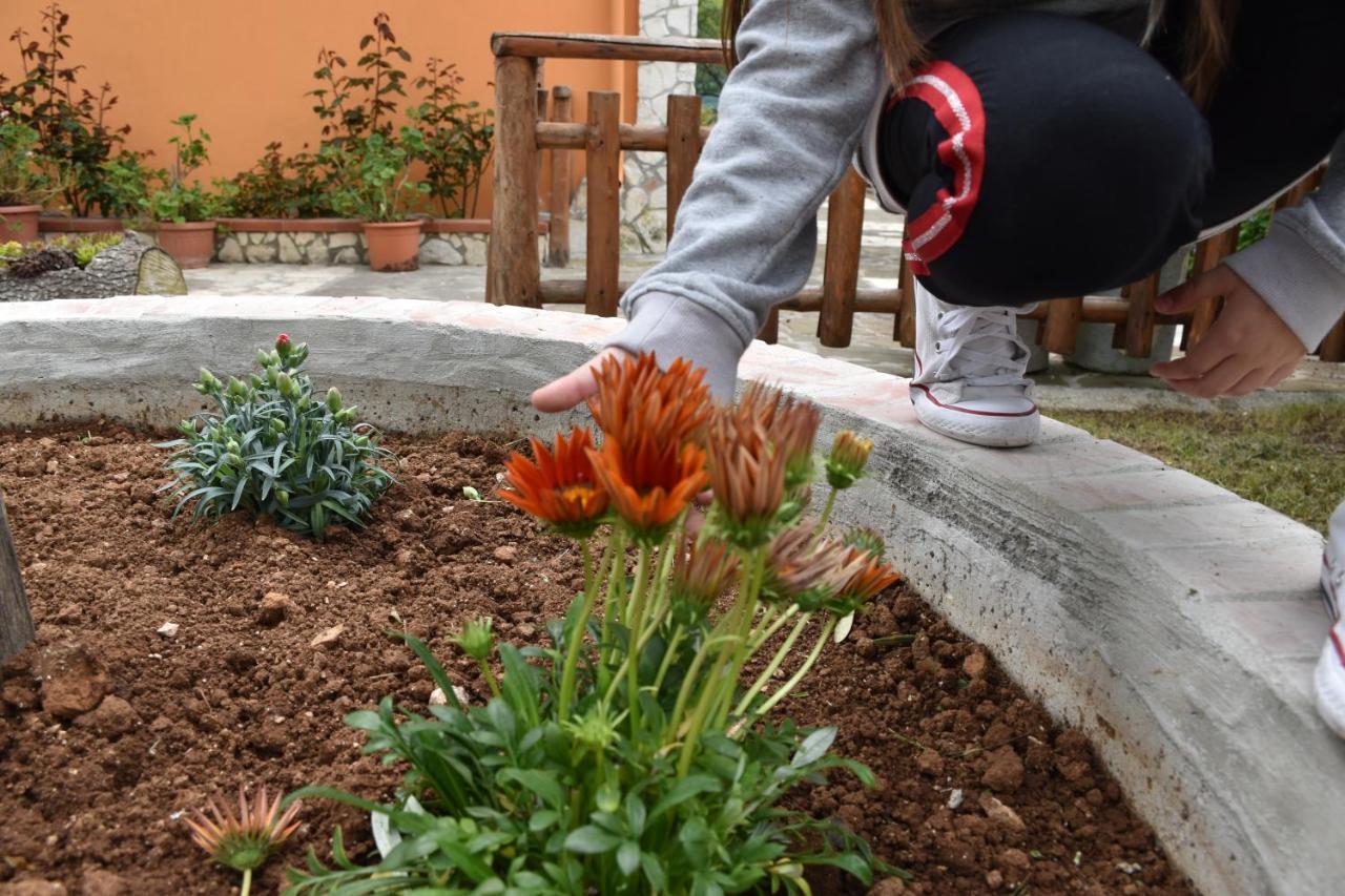 B&B Nel Verde Montesano sulla Marcellana Zewnętrze zdjęcie