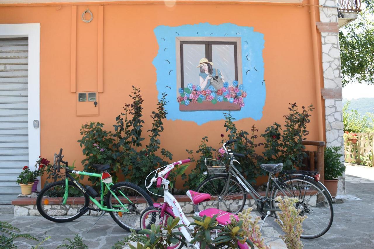 B&B Nel Verde Montesano sulla Marcellana Zewnętrze zdjęcie